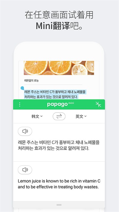 papago中韩翻译软件截图1